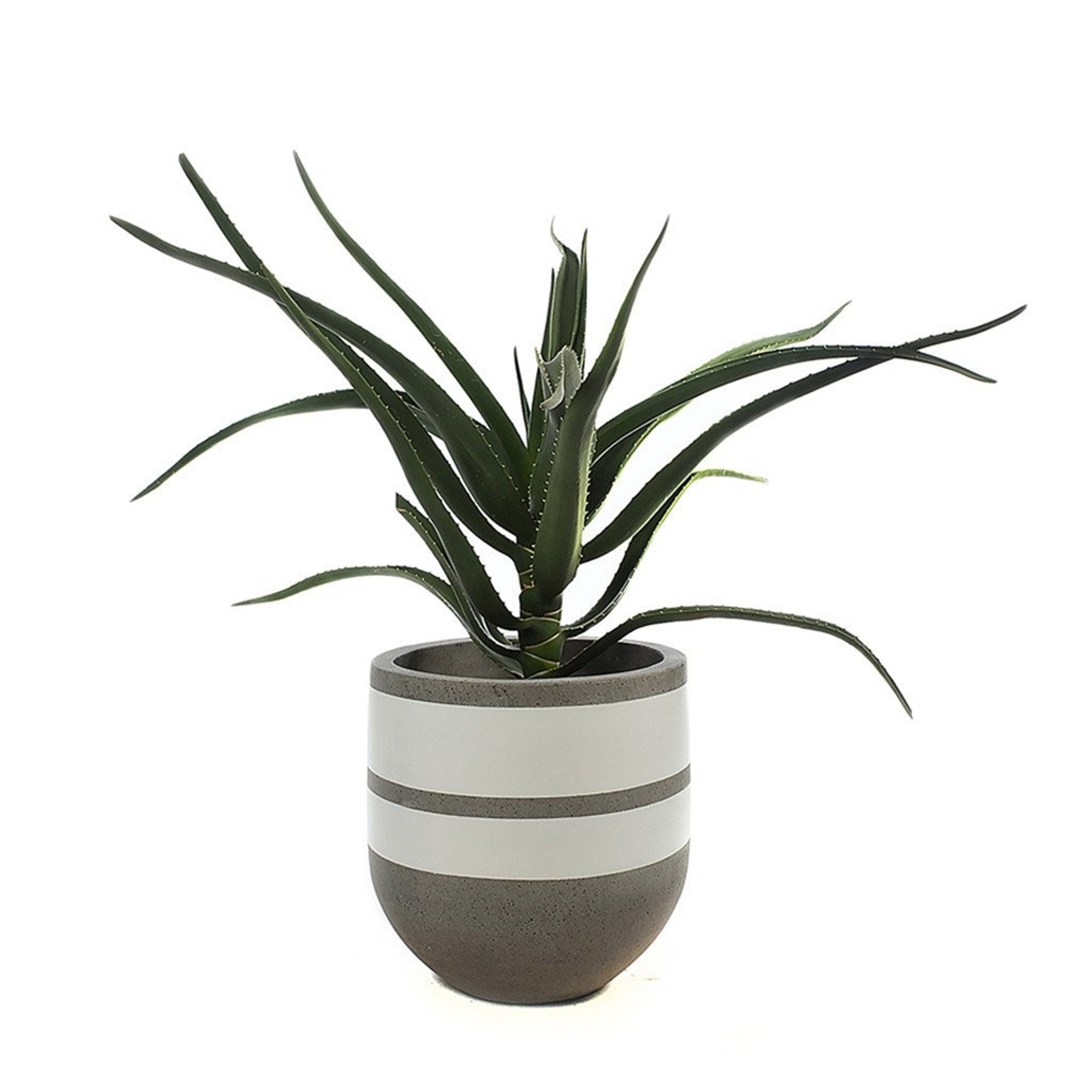 Picture of DOUBLE BAND POT - TALL