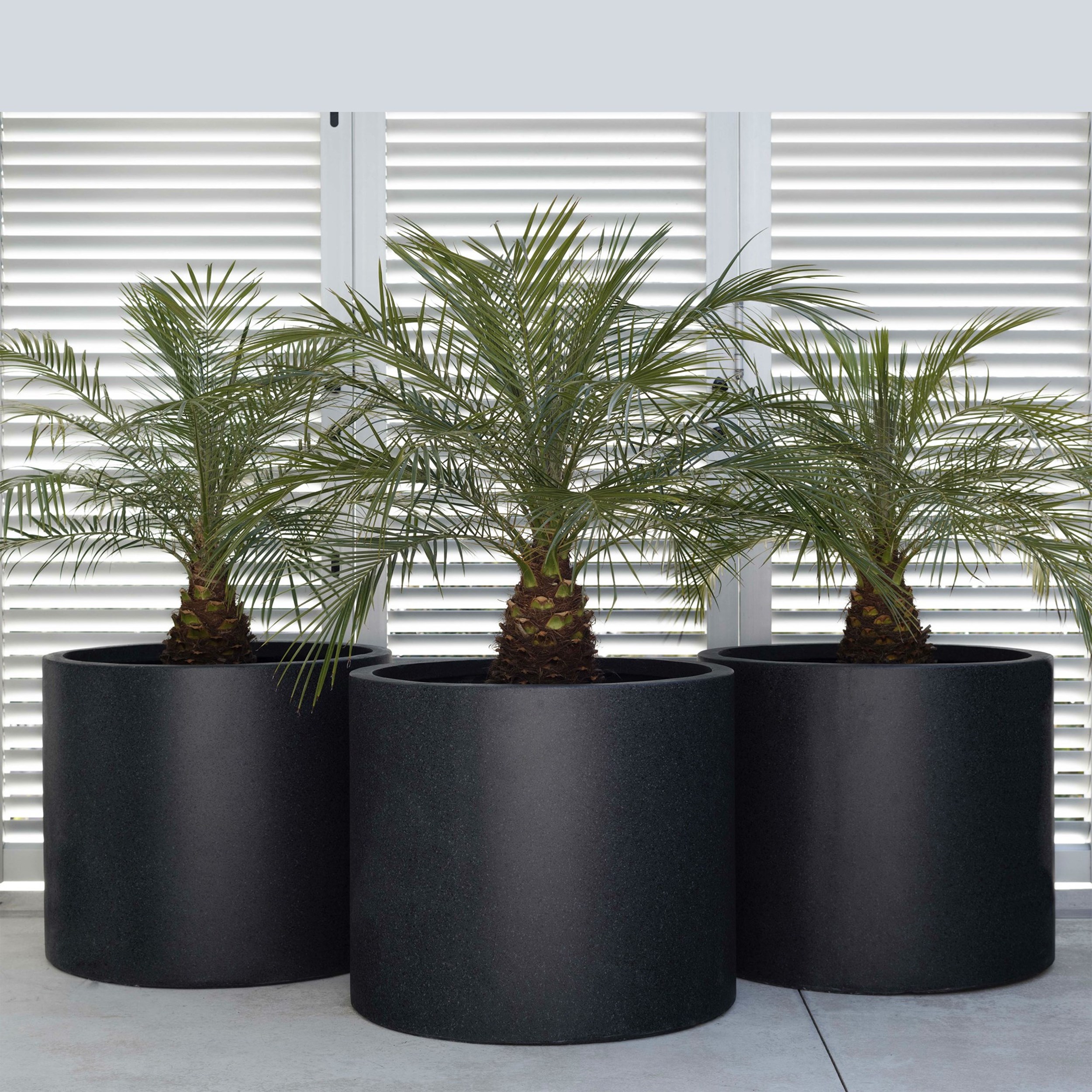 Picture of Essential Cylinder