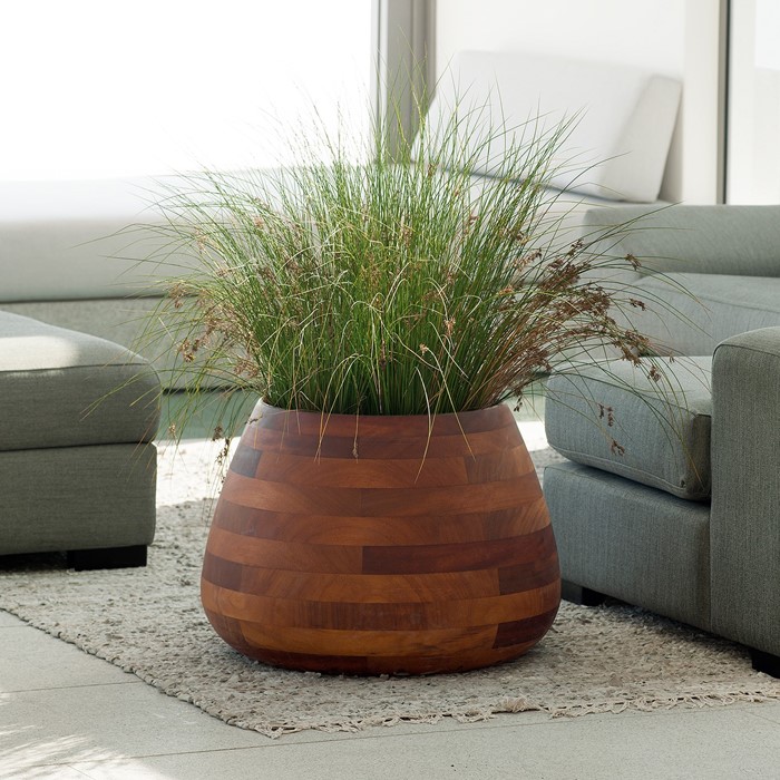 Picture of TUBER Iroko Timber Planter