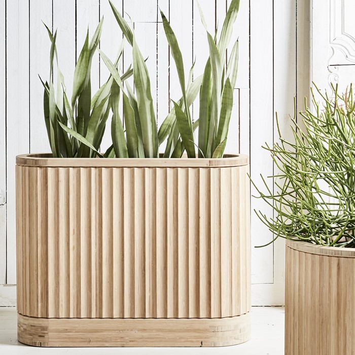 Picture of Bamboo Trough Pleat ARD Pot