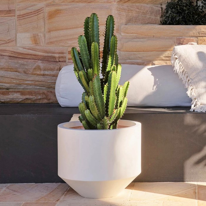 Picture for category REGULAR POTS