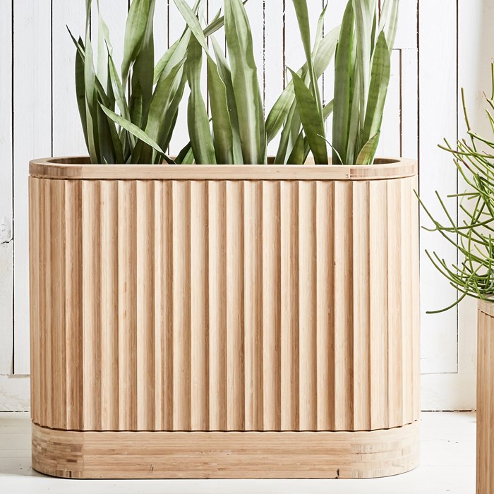 Picture for category WOOD & BAMBOO