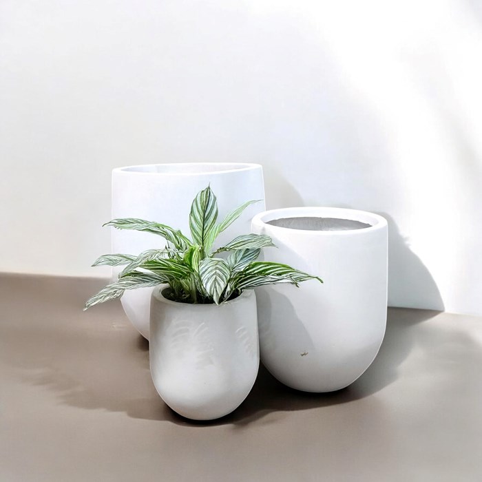 Picture of Gardenlite Tall Congo White