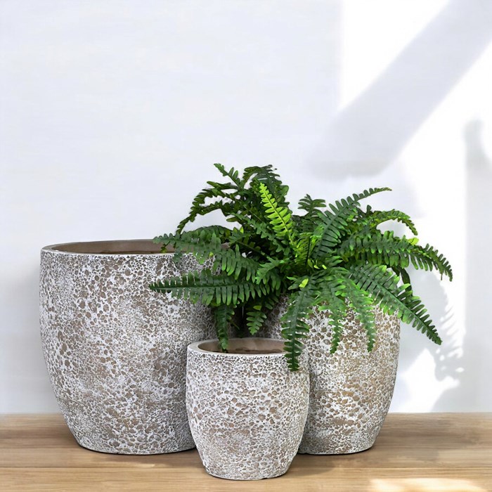 Picture of SeaLite Clovelly Planter Driftwood