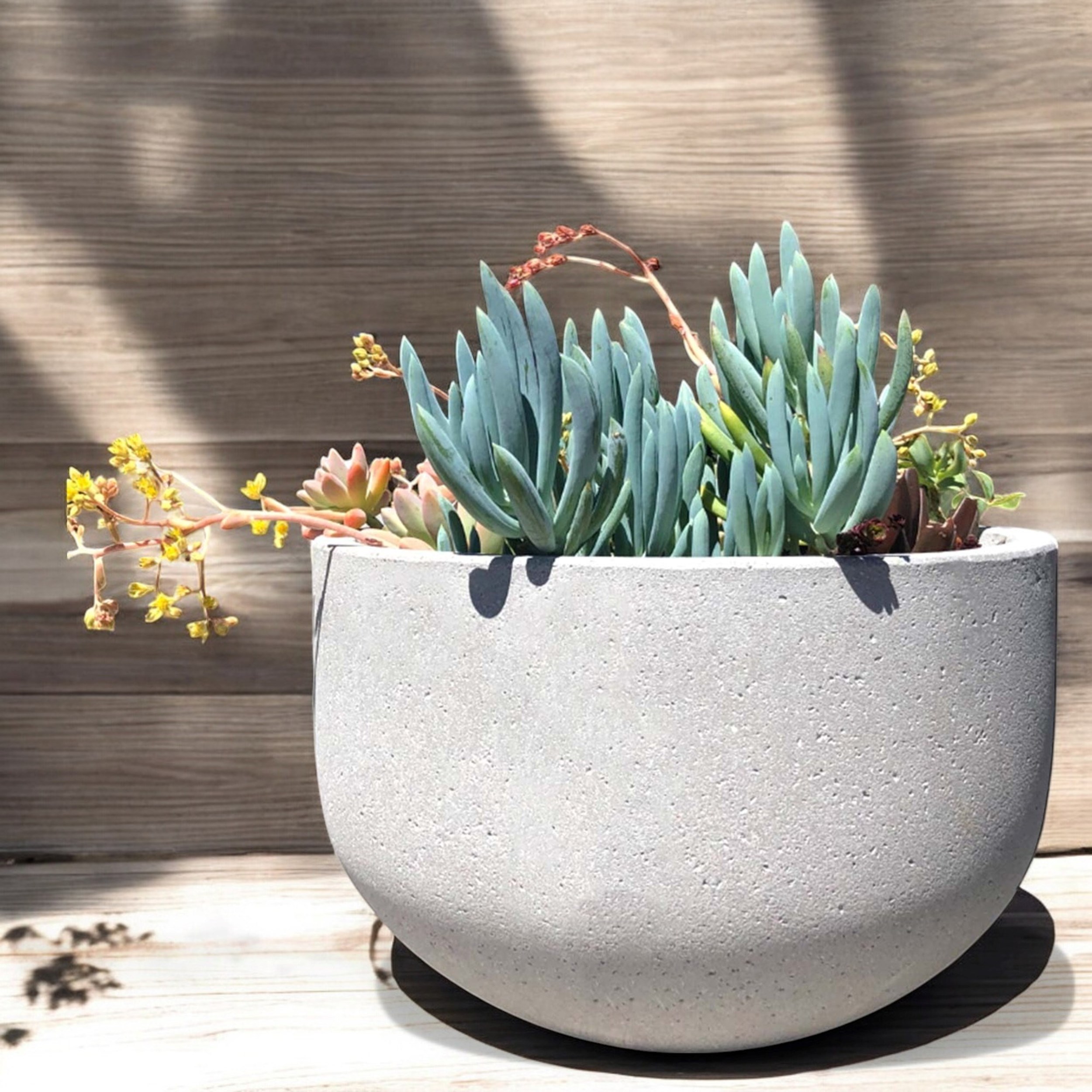 Picture of Urbanstyle Bowl Cement