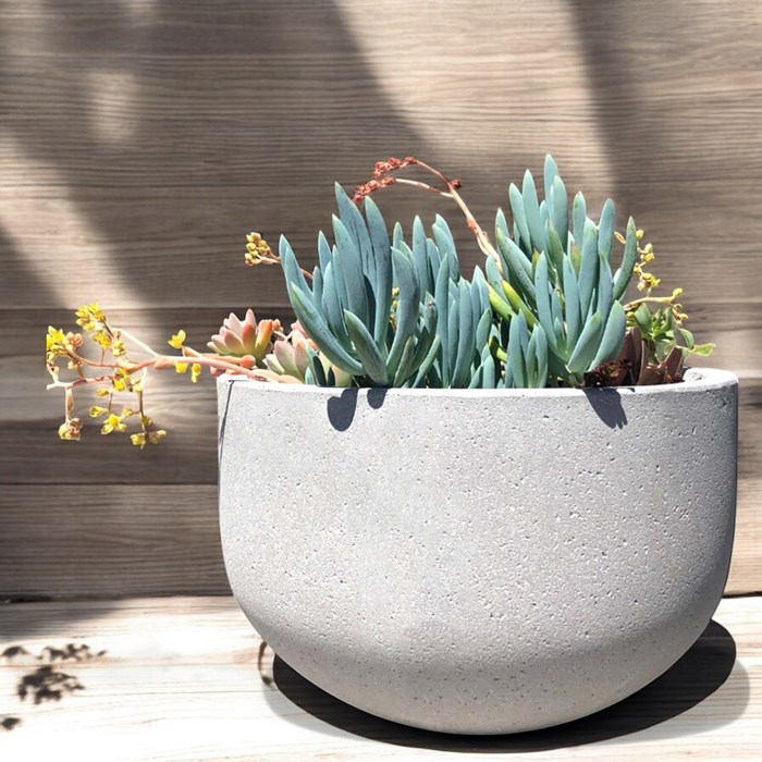 Picture of Urbanstyle Bowl Cement